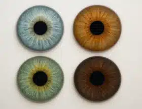 Iris Analysis for Personal Color Consultants: Expert Guide